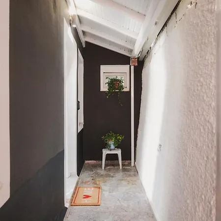 Cozy 2 Bedrooms On The Hill W/netflix *