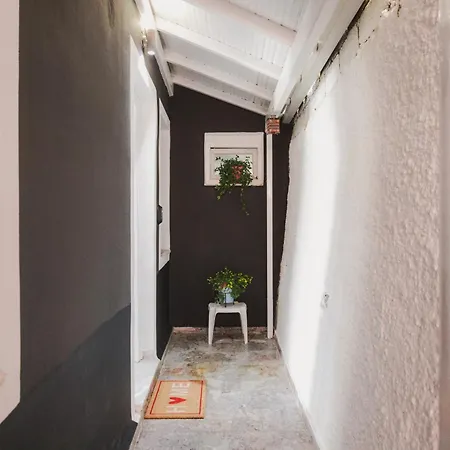 Cozy 2 Bedrooms On The Hill W/netflix *